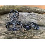 KIT PEITORAL UNIVERSAL, COLEIRA SUPER CONFORT E GUIA DE PASSEIO cor camuflado choque