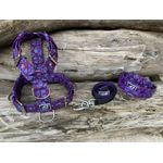 KIT PEITORAL UNIVERSAL, COLEIRA TÁTICA E GUIA DE PASSEIO cor caveira roxa