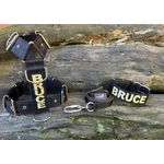 KIT PEITORAL PREMIUM PERSONALIZADO, COLEIRA PERSONALIZADA E GUIA DE PASSEIO preto com dourado