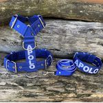 KIT PEITORAL PREMIUM PERSONALIZADO, COLEIRA PERSONALIZADA E GUIA DE PASSEIO azul com branco