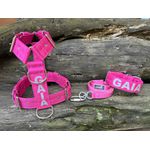 KIT PEITORAL PREMIUM PERSONALIZADO, COLEIRA PERSONALIZADA E GUIA DE PASSEIO rosa com prata