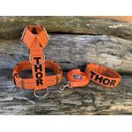 KIT PEITORAL PREMIUM PERSONALIZADO, COLEIRA PERSONALIZADA E GUIA DE PASSEIO laranja e preto