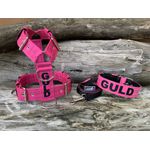 KIT PEITORAL PREMIUM PERSONALIZADO, COLEIRA PERSONALIZADA COURO SINTÉTICO E GUIA DE PASSEIO rosa com preto