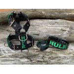 KIT PEITORAL PERSONALIZADO POLIÉSTER COMUM, COLEIRA PERSONALIZADA COURO SINTÉTICO E GUIA DE PASSEIO preto e verde bandeira