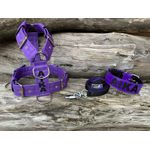 KIT PEITORAL PERSONALIZADO POLIÉSTER COMUM, COLEIRA PERSONALIZADA COURO SINTÉTICO E GUIA DE PASSEIO roxo e preto