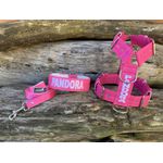 KIT PEITORAL PERSONALIZADO POLIÉSTER COMUM, COLEIRA PERSONALIZADA COURO SINTÉTICO E GUIA DE PASSEIO rosa e branco