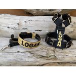 KIT PEITORAL PERSONALIZADO POLIÉSTER COMUM, COLEIRA PERSONALIZADA COURO SINTÉTICO E GUIA DE PASSEIO preto e dourado