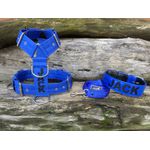 KIT PEITORAL PERSONALIZADO POLIÉSTER COMUM, COLEIRA PERSONALIZADA COURO SINTÉTICO E GUIA DE PASSEIO azul e preto