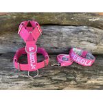 KIT PEITORAL PERSONALIZADO POLIÉSTER COMUM, COLEIRA PERSONALIZADA COURO SINTÉTICO E GUIA DE PASSEIO rosa e prata