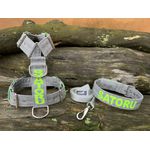 KIT PEITORAL PERSONALIZADO POLIÉSTER COMUM, COLEIRA PERSONALIZADA E GUIA DE PASSEIO cinza riscado e verde fluorescente