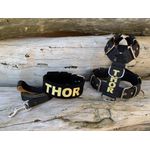 KIT PEITORAL PERSONALIZADO POLIÉSTER COMUM, COLEIRA PERSONALIZADA CAMURÇA E GUIA DE PASSEIO preto e dourado
