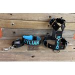 KIT PEITORAL PERSONALIZADO POLIÉSTER COMUM, COLEIRA PERSONALIZADA MATERIAL SINTÉTICO E GUIA DE PASSEIO preto e azul bebê