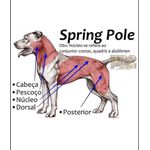 Kit spring pole mordedor pillow, mola spring e mosquetões PRETO
