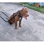 Peitoral para tração 
