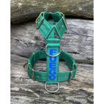 Peitoral universal personalizado poliéster premium verde bandeira com nome em azul bic