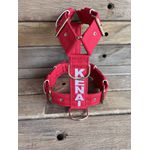 Peitoral universal personalizado poliéster comum vermelho com nome em branco