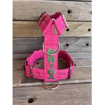 Peitoral universal personalizado poliéster premium rosa com nome em verde bandeira