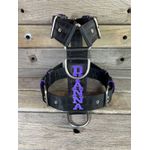Peitoral universal personalizado poliéster premium preto com nome em roxo