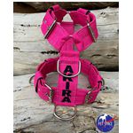 Peitoral universal personalizado poliéster comum rosa com nome em preto