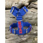 Peitoral universal personalizado poliéster comum azul bic com nome em vermelho
