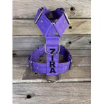 Peitoral universal personalizado poliéster comum roxo com nome em preto