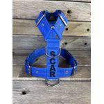 Peitoral universal personalizado poliéster comum azul bic com nome em preto