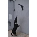 Suporte Para Spring Pole