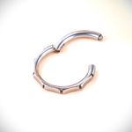 Argola Click Segmentada Em Gomos Titanio 