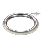 Argola Clicker Revestida Com Opalas Luzente