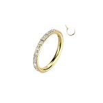 Argola Com Conjunto Cz De 10 Pedras