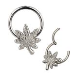 Argola Segmentada Em Titanio Formato Folha Canadense "Maple Leaf"