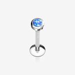 Labret Com Pedra Diversas Coleção Clayt