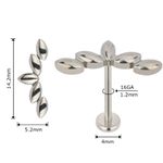 Labret Piercing Titânio Folhas Lisas Polidas