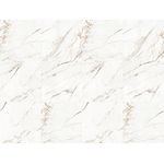 Porcelanato Capraia Acetinado 121x121 Damme