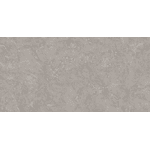 Porcelanato Donatello 61x120 Polido Damme