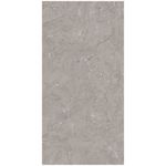 Porcelanato Donatello 61x120 Polido Damme