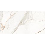 Porcelanato Capraia Polido 62x121 Damme