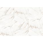 Porcelanato Capraia Polido 62x121 Damme
