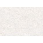 Porcelanato Casa Blanca 61x120 Polido Damme
