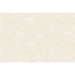Porcelanato Atlantis Crema Polido 62x121 Damme