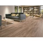 Porcelanato Arbol Canela Acetinado 20x120 Incepa