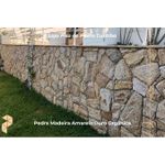 Pedra Madeira Amarelo Ouro Orgânica
