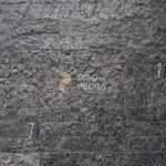 Pedra Matrix Rockface 10x30 cm