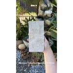 Mármore Travertino Rockface 10x20 cm