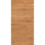 Porcelanato Dark Castor Acetinado Retificado 20x121 Damme