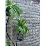 Basalto Rock Face 10x30