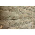 Travertino Rock Face 10x20