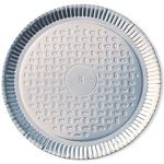 Prato de Papelão Regina Laminado nro 03 22cm c/100 und