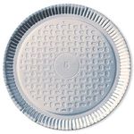 Prato de Papelão Regina Laminado nro 05 28cm c/100 und