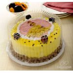 Forma Torta Galvanotek 220x100MM G50M C/50 UND